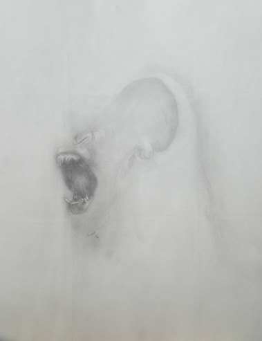 (Triptyque (tude Singe vert))