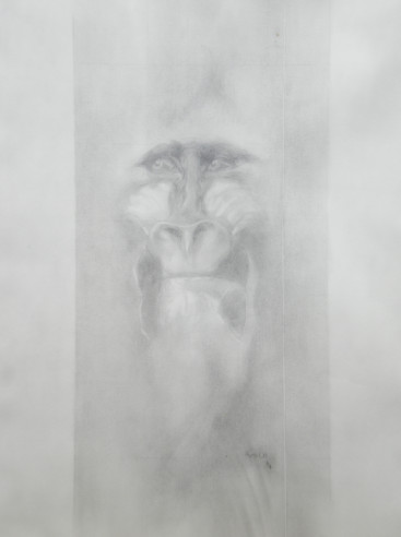 (Triptyque (tude de Mandrill))