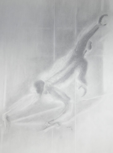 (Singe voleur)
