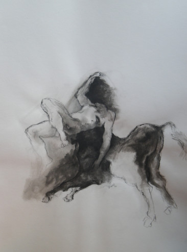(Série Tauromachie (T6))